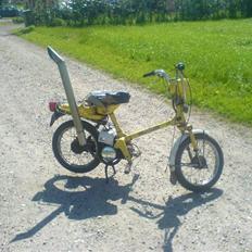 Honda Express