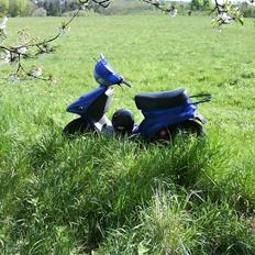 Adly Pista Projekt FØR(BYTTET)