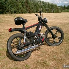 Tomos Quadro (Solgt)