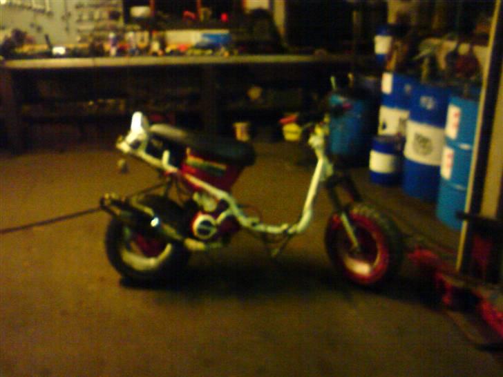 PGO Hot 50 billede 4