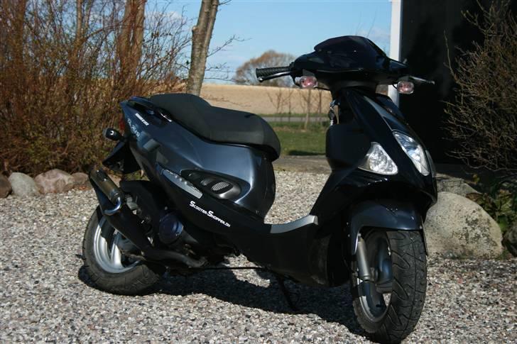 PGO Dr. Big - Malossi MHR billede 7