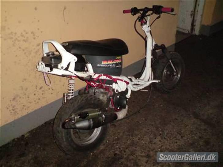 PGO Hot 50 billede 15