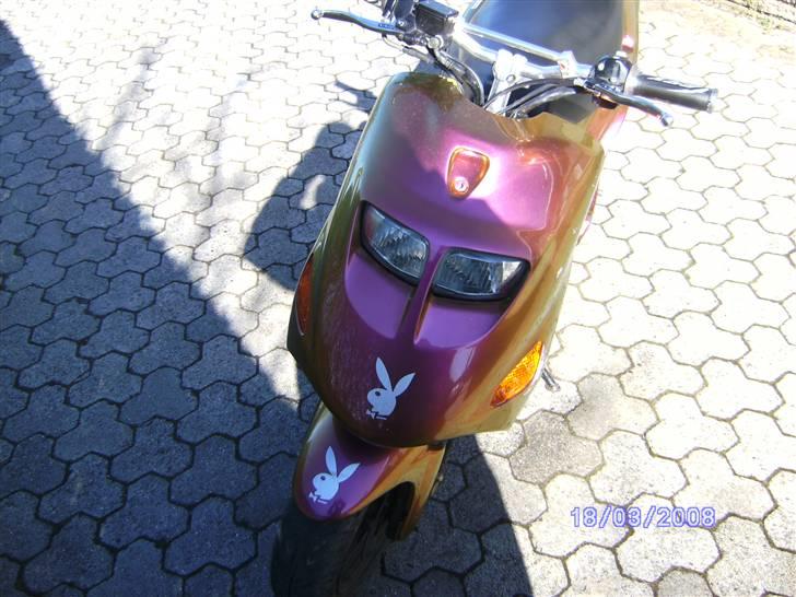 Kreidler "P-Rabbit" Easy Rider billede 12