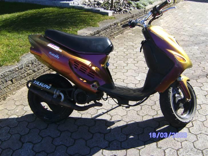 Kreidler "P-Rabbit" Easy Rider billede 17