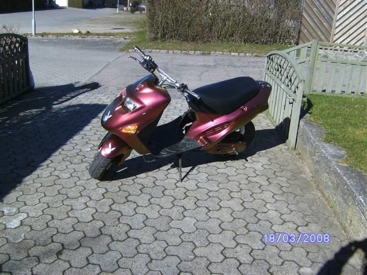 Kreidler "P-Rabbit" Easy Rider billede 19