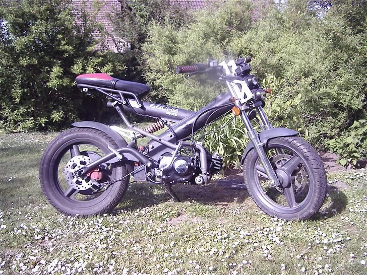 Sachs Madass (remtræk) byttet billede 5