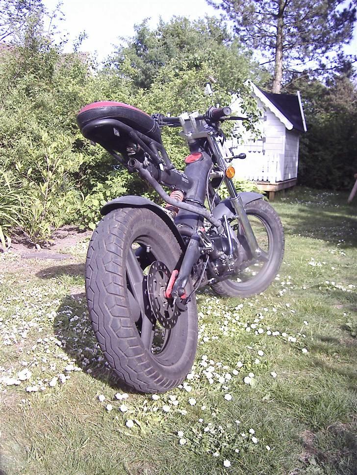 Sachs Madass (remtræk) byttet billede 8