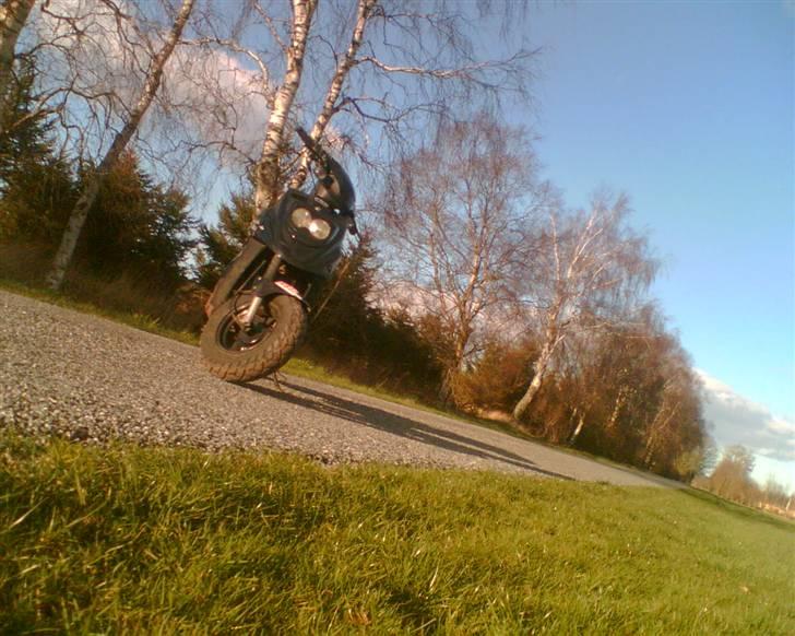 PGO big max ( bygget) billede 8