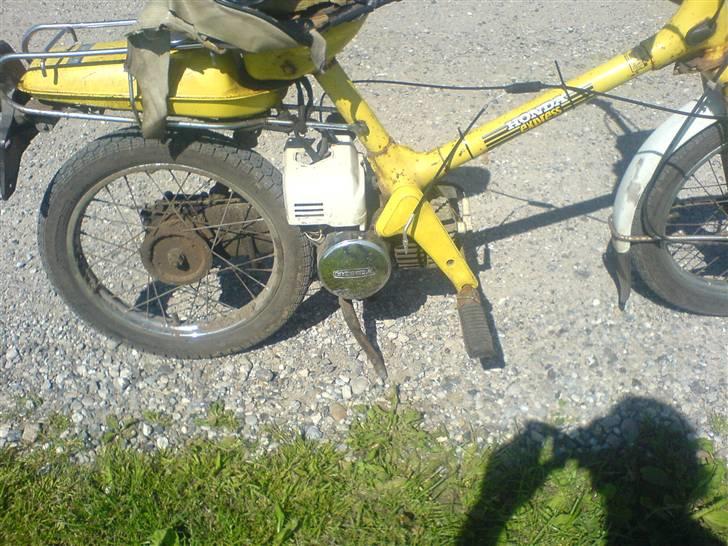 Honda Express billede 12