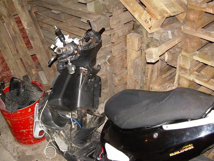 PGO Dr. Big - Solgt . billede 16