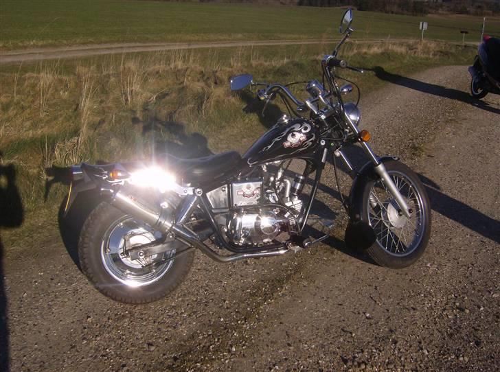 Regal Raptor ( Byttet  ) - Bling bling ! =D billede 2