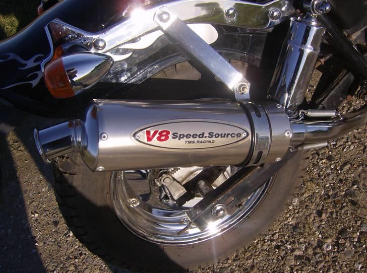 Regal Raptor ( Byttet  ) - Min dejlige potte ! =D billede 3