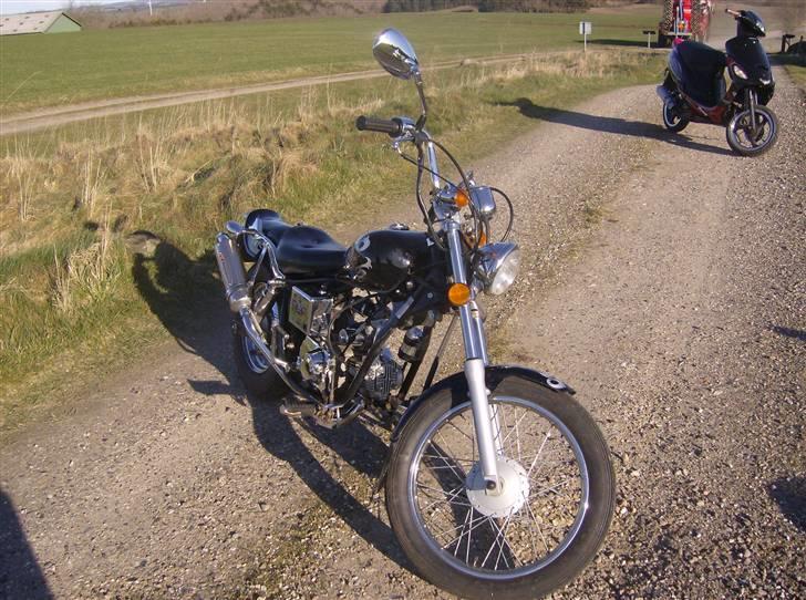 Regal Raptor ( Byttet  ) - ... Skønhed =D billede 5