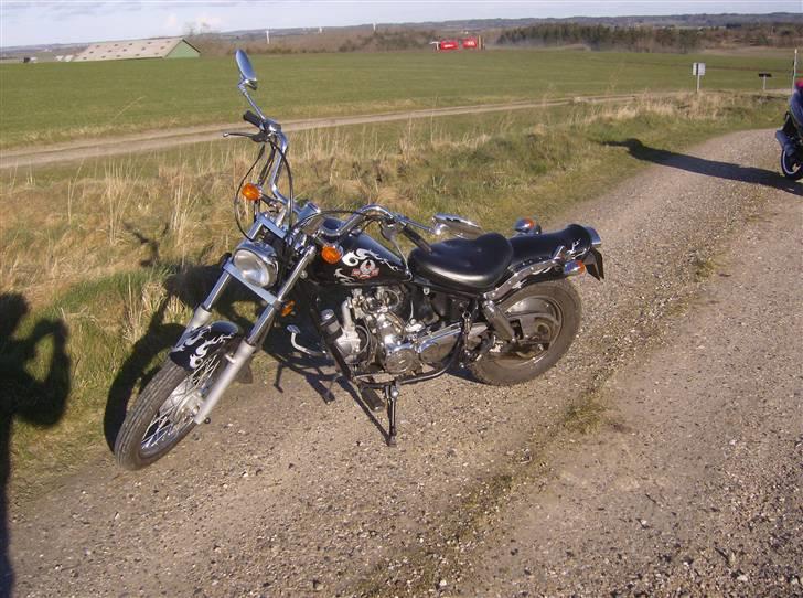 Regal Raptor ( Byttet  ) - ... Den er pææææn =D billede 6