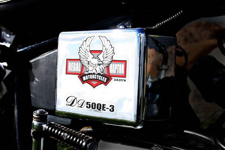 Regal Raptor ( Byttet  ) - Regal Raptor Motercycles =D  Fotograf Janne Terp  -  < janneterp@hotmail.com> billede 8