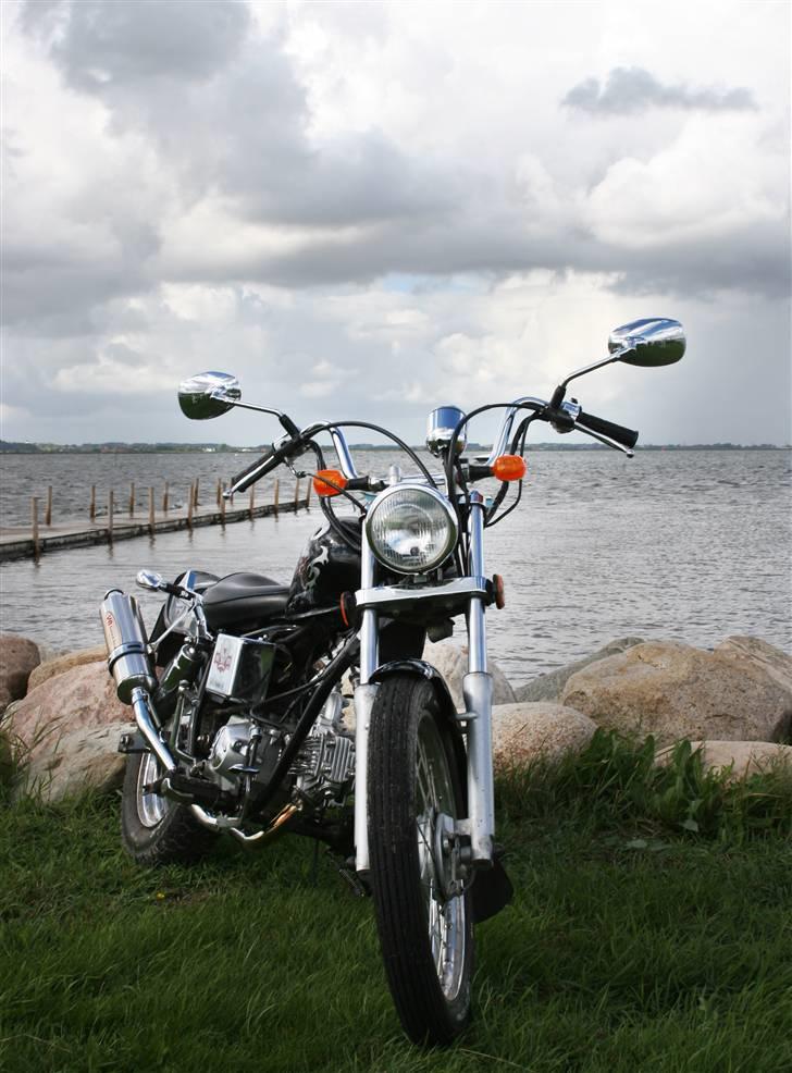 Regal Raptor ( Byttet  ) - Staun "Strand" - Fotograf Janne Terp  -  < janneterp@hotmail.com> billede 9