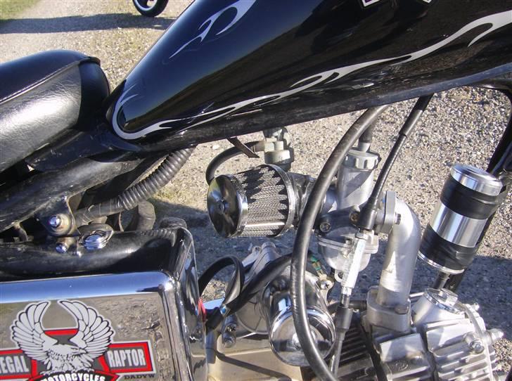 Regal Raptor ( Byttet  ) - Power filter ...  billede 11