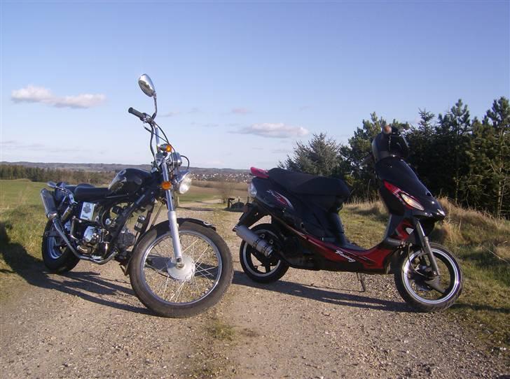 Regal Raptor ( Byttet  ) - Ammen hvor er de fine sammen =D billede 12