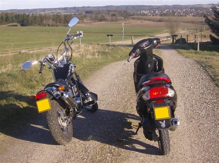 Regal Raptor ( Byttet  ) - Nice ! =D billede 13