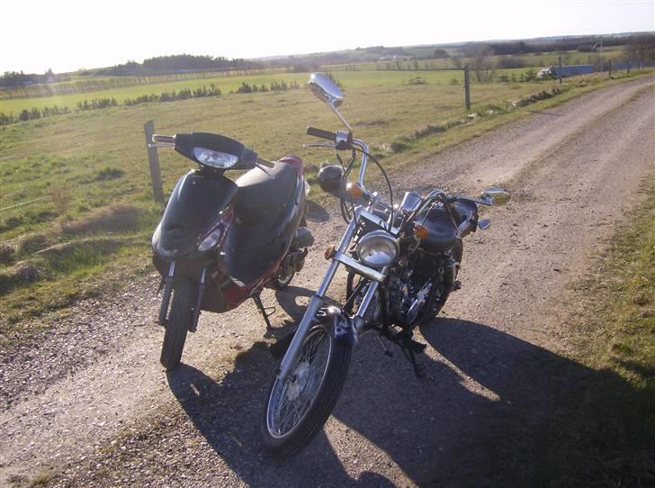 Regal Raptor ( Byttet  ) - We ride together ! =D  billede 14