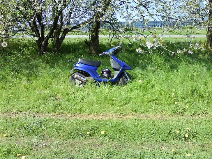 Adly Pista Projekt FØR(BYTTET) billede 1