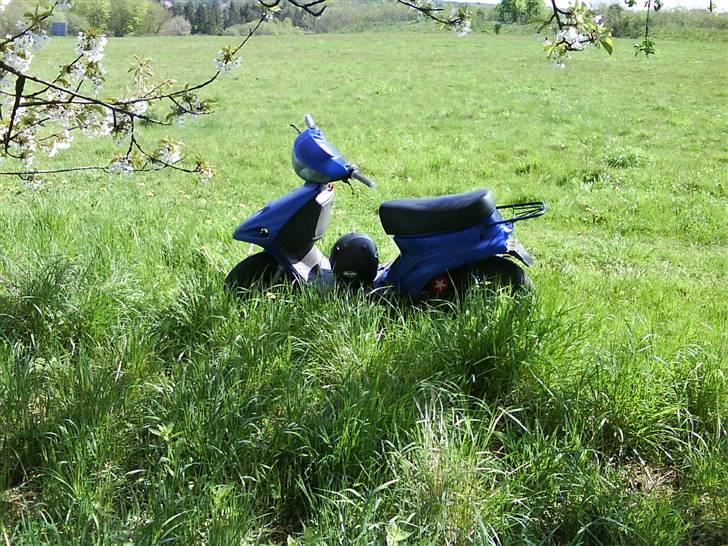 Adly Pista Projekt FØR(BYTTET) billede 2