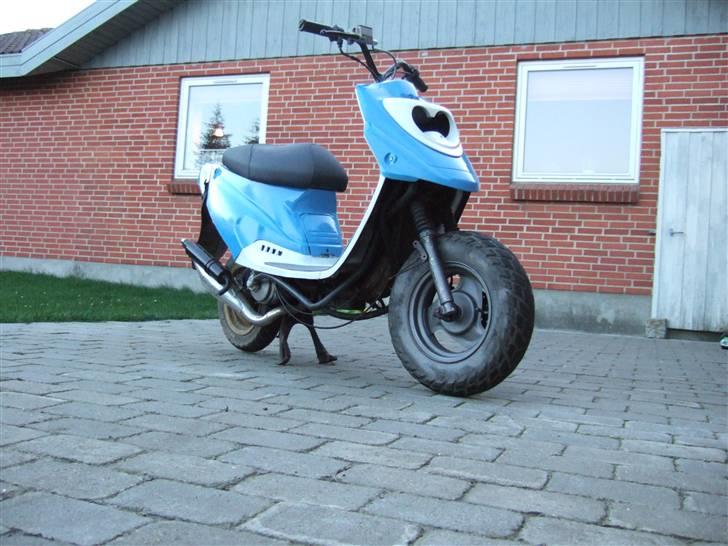 PGO Hot@SONIC LC Solgt i dele billede 14