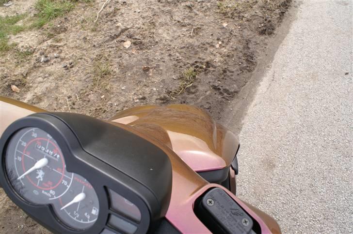 Peugeot TKR Solgt - Se lakken ;) billede 10