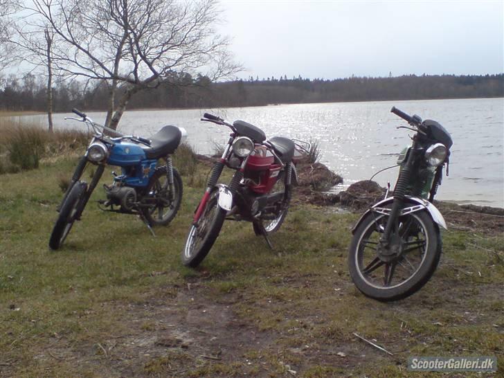 Puch Monza N- 50 SL2 billede 12