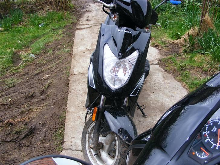 Kymco agility 50  - set forfra med en bid af en anden scooter som staffage billede 5