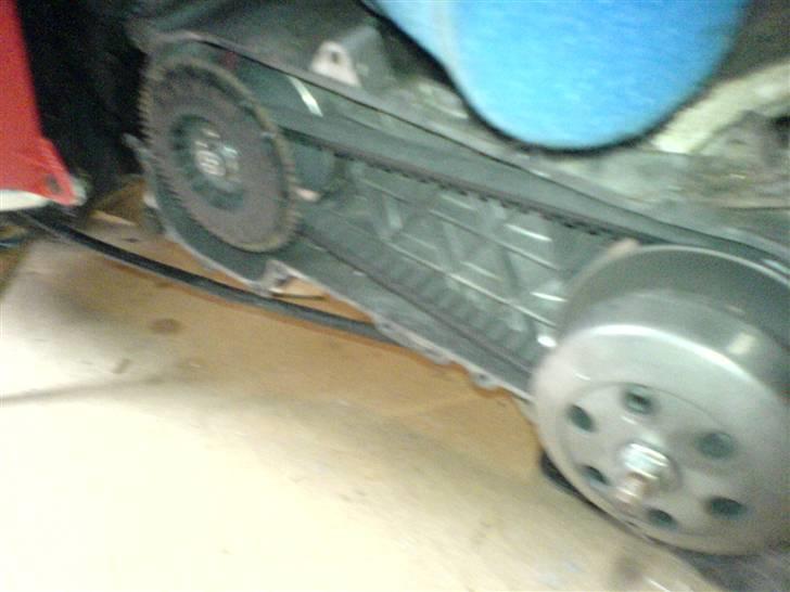 Piaggio typhoon solgt billede 8