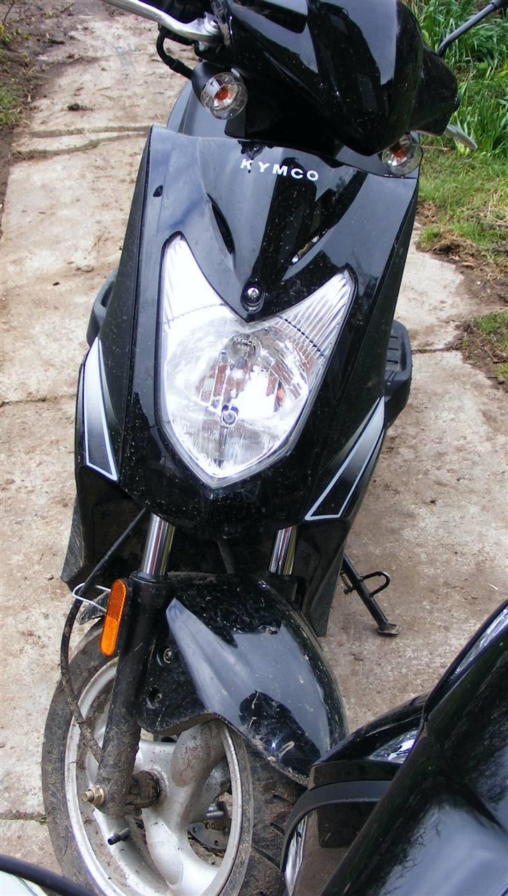 Kymco agility 50  - skævt vinklet udsnit af front billede 8
