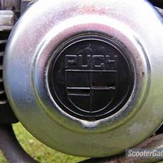 Puch Maxi P SOLGT