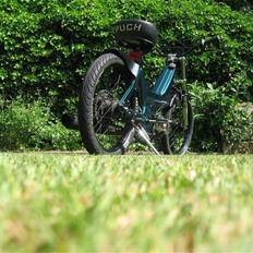 Puch Maxi Old School (solgt)