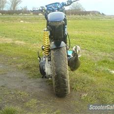 Suzuki -Street magic ssm- byttet