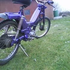 Puch maxi   SOLGT