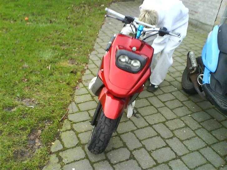 PGO hot 50 [ SOLGT ] - [ SOLGT ]  billede 6