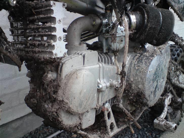 Moff MOFF AFR SOLGT billede 8