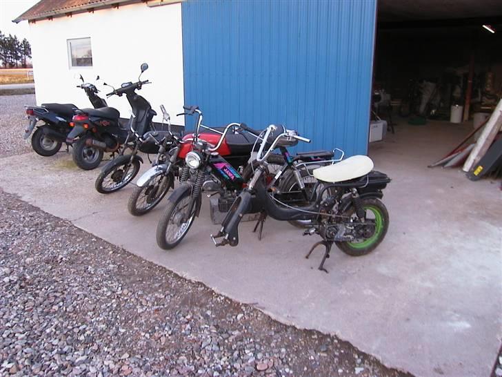 Suzuki FZ50  billede 5