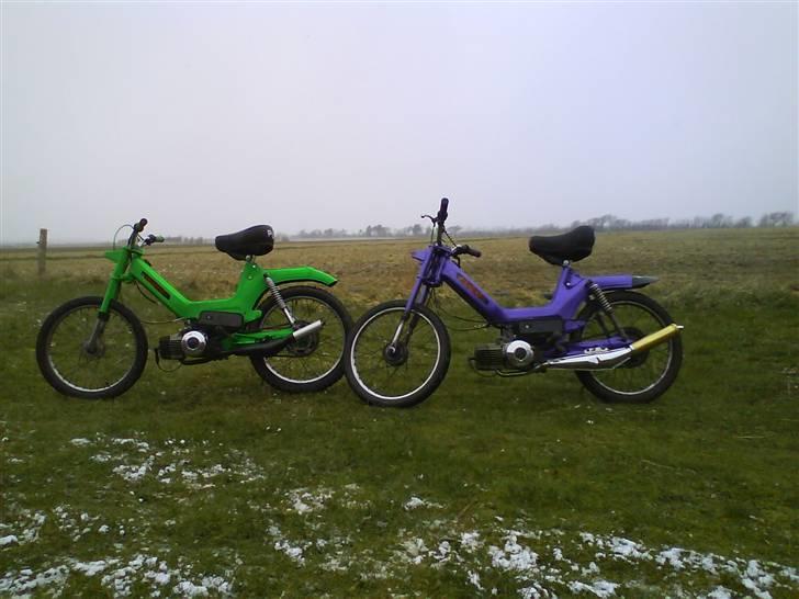 Puch maxi k  (SOLGT) - der er hun sammen med lillebroren:D billede 8