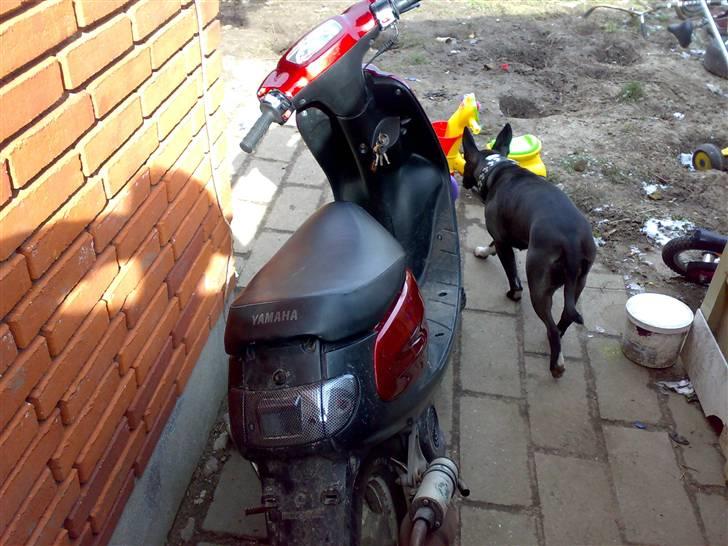 Yamaha jog space billede 5