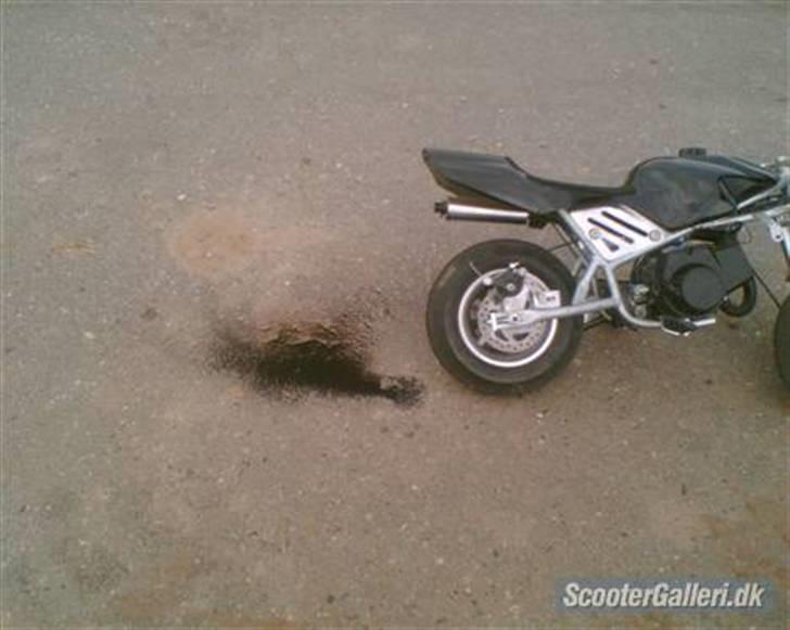 MiniBike pocket bike (Solgt) billede 17