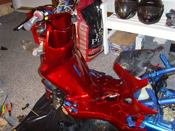 PGO pmx sports billede 11