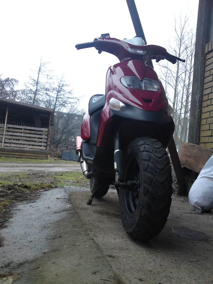 Gilera stalker( Til Salg ) billede 5