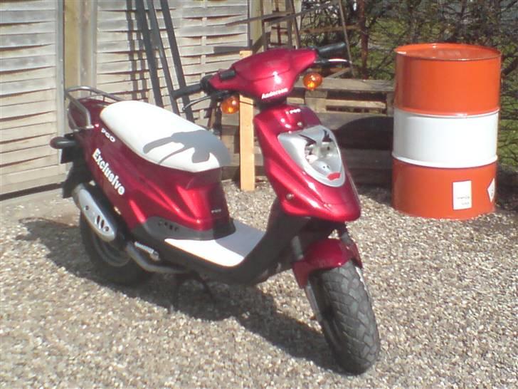 PGO Hot 50 Exclusive (solgt) - Taget den 05/04 hvor den er blevet pusset billede 1