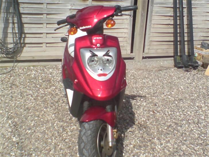 PGO Hot 50 Exclusive (solgt) - Taget den 05/04 hvor den er blevet pusset billede 2