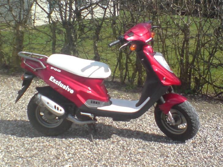 PGO Hot 50 Exclusive (solgt) - Taget den 05/04 hvor den er  blevet pusset billede 3