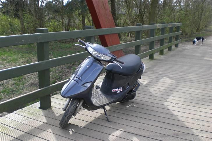 PGO ·comet Solgt billede 9