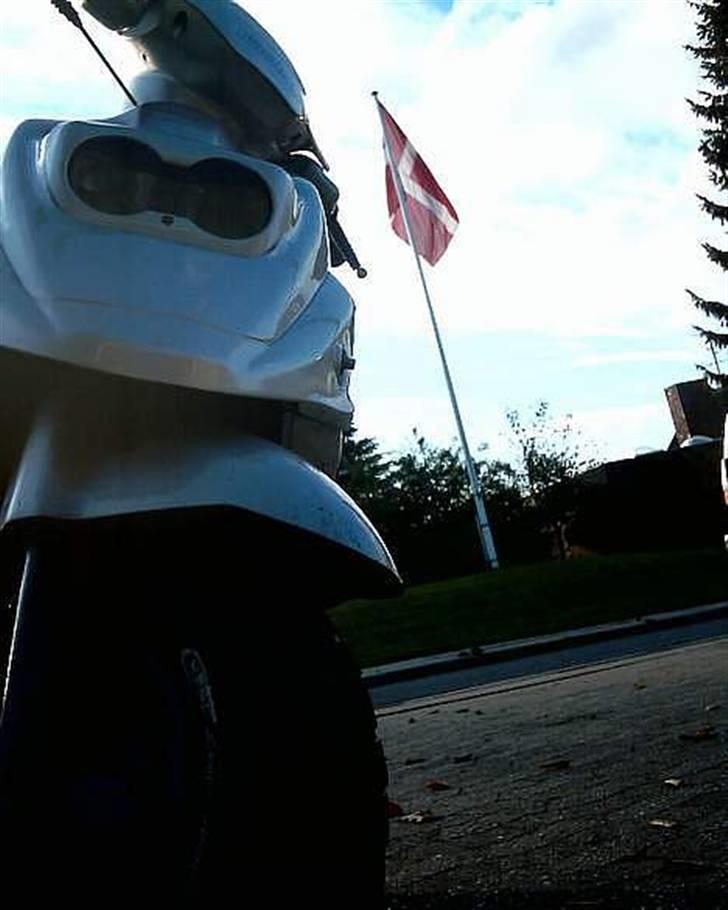 PGO Hot 50 *Projekt* [SOLGT] billede 2