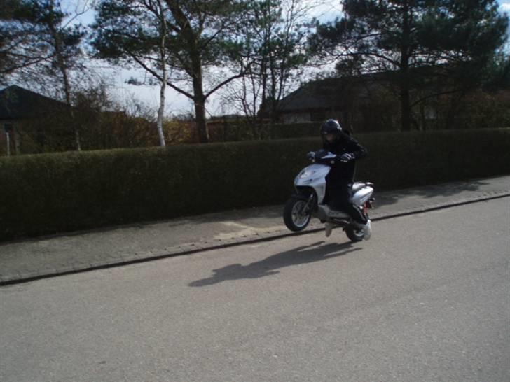 CPI Oliver - Nice nice.. billede 9